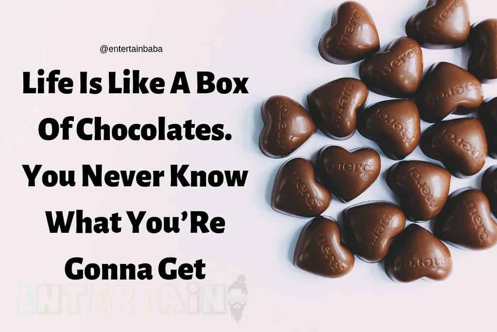 Life Is Like A Box Of Chocolates. You Never Know What You’Re Gonna Get