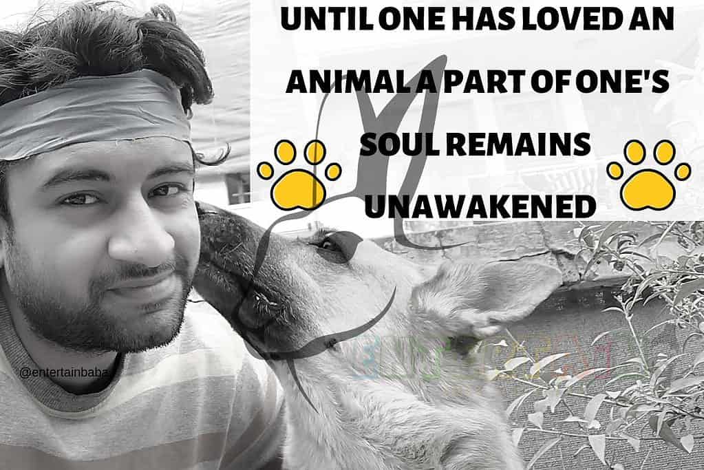 Until one has loved an animal a part of one's soul remains unawakened
