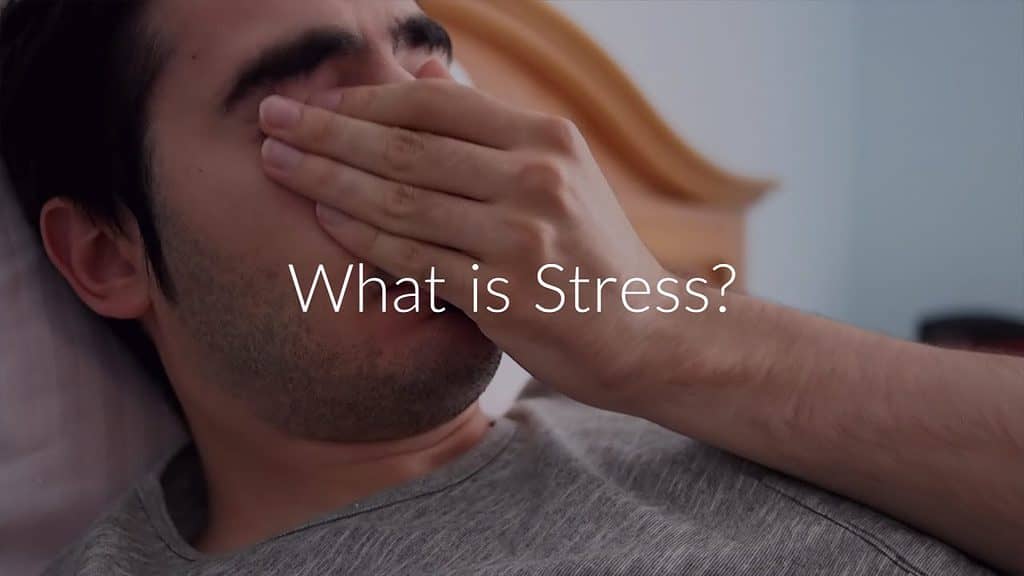What Is Stress? | Motivational Video Quotes