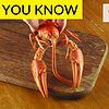 Didyouknow #1 Lobster Facts